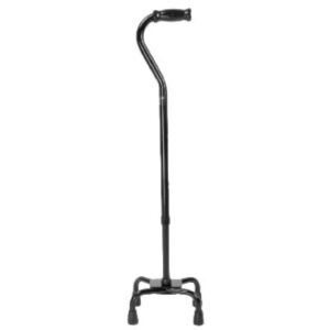 Canes and Other Mobility Assistance Items